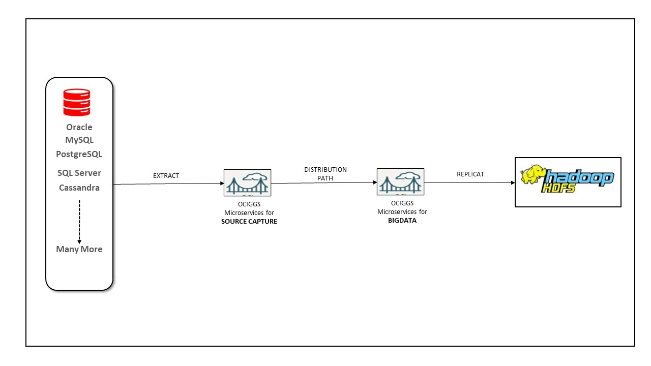 OCI GoldenGate Service To Hadoop HDFS